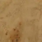 Poplar veneer panel, beige glossy finish, displaying subtle wood grain and scattered brown speckles for a textured, aged appearance.